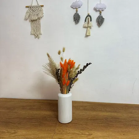 Garden ساراندا